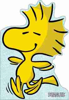 A Best Friend for Woodstock by Charles M. Schulz