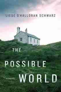 POSSIBLE WORLD: A Novel by L Schwarz