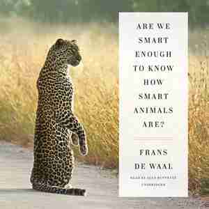 Are We Smart Enough To Know How Smart Animals Are? by Frans De Waal