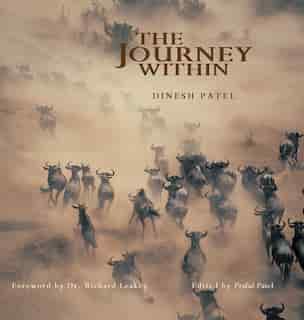 The Journey Within by Praful Patel