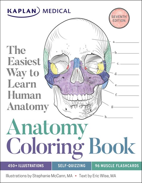 Download Anatomy Coloring Book, Book by Stephanie Mccann (Paperback ...