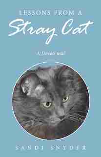 Lessons from a Stray Cat: A Devotional by Sandi Snyder