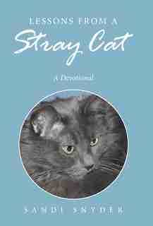 Lessons from a Stray Cat: A Devotional by Sandi Snyder