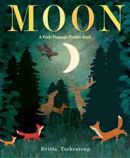 Moon: A Peek-through Picture Book by Britta Teckentrup