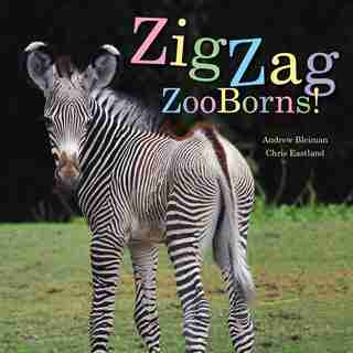 ZigZag ZooBorns!: Zoo Baby Colors and Patterns by Andrew Bleiman