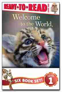 ZooBorns Ready-to-Read Value Pack: Welcome to the World, ZooBorns!; I Love You, ZooBorns!; Hello, Mommy ZooBorns!; Nighty Night, ZooBo by Andrew Bleiman