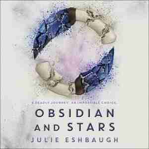 Obsidian And Stars by Julie Eshbaugh