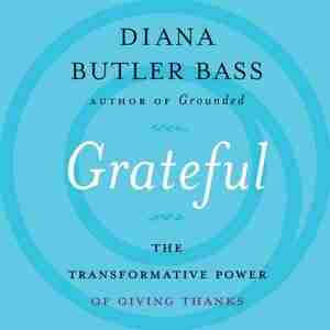 Grateful: The Transformative Power Of Giving Thanks by Diana Butler Bass