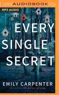 Every Single Secret: A Novel by Emily Carpenter