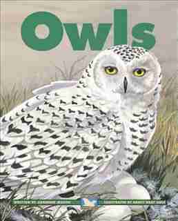 Owls by Adrienne Mason