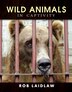 Wild Animals In Captivity Book By Rob Laidlaw Paperback Www Chapters Indigo Ca