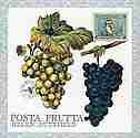 Posta Frutta - Postcard Book by Helen Buttfield