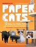 Paper Cats Book By Papermade Paperback Www Chapters Indigo Ca