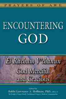 Encountering God: God Merciful And Gracious-el Rachum V'chanun by Lawrence A. Hoffman
