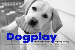 Dogplay: The Canine Guide To Being Happy by Christine Montaquila
