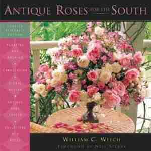 Antique Roses for the South: New Edition by William C. Welch
