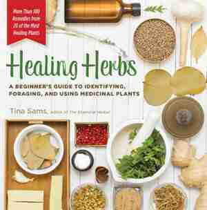 Healing Herbs: A Beginner's Guide To Identifying, Foraging, And Using Medicinal Plants / More Than 100 Remedies Fr by Tina Sams