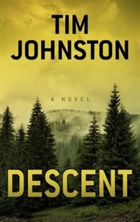 Descent Book By Tim Johnston Paperback Chapters Indigo Ca