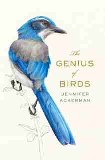 The Genius Of Birds by Jennifer Ackerman
