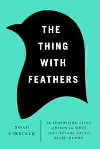 The Thing With Feathers: The Surprising Lives Of Birds And What They Reveal About Being Human by Noah Strycker