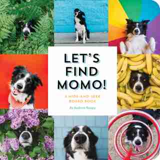 Let's Find Momo!: A Hide-and-seek Board Book by Andrew Knapp
