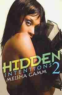 Hidden Intentions 2 by Meisha Camm