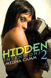 Hidden Intentions 2 by Meisha Camm