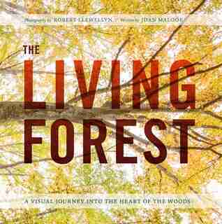 LIVING FOREST: A Visual Journey Into The Heart Of The Woods by Robert Llewellyn
