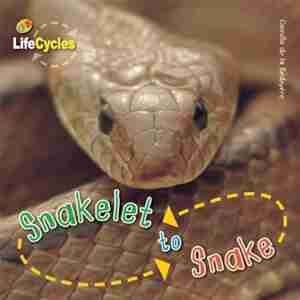 Snakelet to Snake by Camilla De La Bedoyere