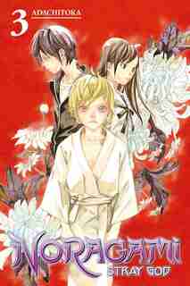 Noragami: Stray God 3: Stray God by Adachitoka