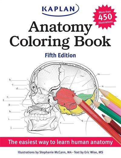 Download Anatomy Coloring Book, Book by Stephanie Mccann (Paperback ...