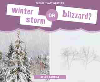 Winter Storm Or Blizzard? by Kelly Doudna