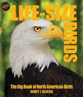 Life-size Birds: The Big Book Of North American Birds by Nancy J. Hajeski