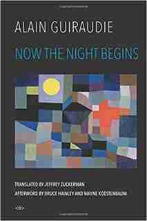 Now The Night Begins by Alain Guiraudie
