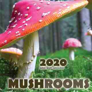 Mushrooms 2020 Mini Wall Calendar by Wall Publishing