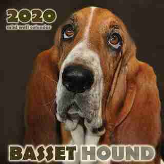 Basset Hound 2020 Mini Wall Calendar by Over the Wall Dogs