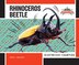 Rhinoceros beetle short story analysis image