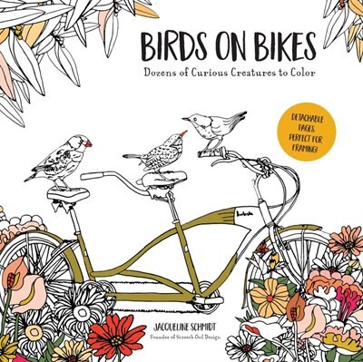 Birds On Bikes: And Dozens Of Other Curious Creatures To Color by Jacqueline Schmidt