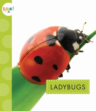 Ladybugs by Nessa Black