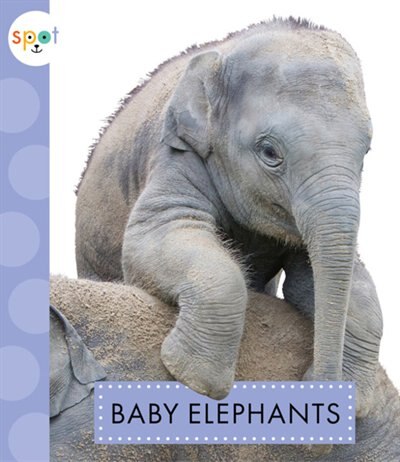 Baby Elephants by K.C. Kelley