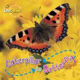 Caterpillar To Butterfly by Camilla De La Bedoyere