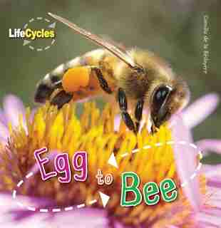 Egg To Bee by Camilla De La Bedoyere