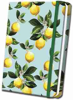 Citrus Satin Journal by Editors Of Thunder Bay Press