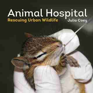 Animal Hospital: Rescuing Urban Wildlife by Julia Coey