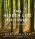 The Hidden Life of Trees The Illustrated Edition, Book by Peter