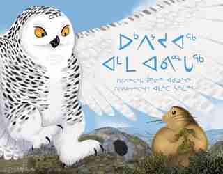 The Owl And The Lemming (inuktitut): (inuktitut Edition) by Roselynn Akulukjuk
