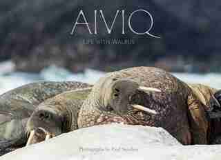 Aiviq (inuktitut): Life With Walruses by Paul Souders