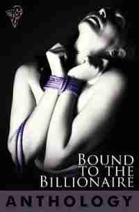 Bound To The Billionaire by Sierra Cartwright