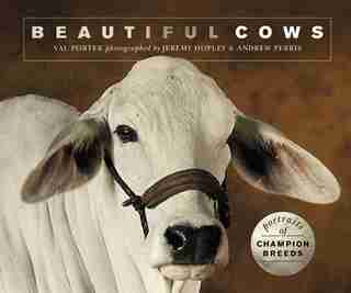 Beautiful Cows: Portraits Of Champion Breeds by Valerie Porter