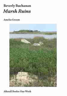 Beverly Buchanan: Marsh Ruins by Amelia Groom